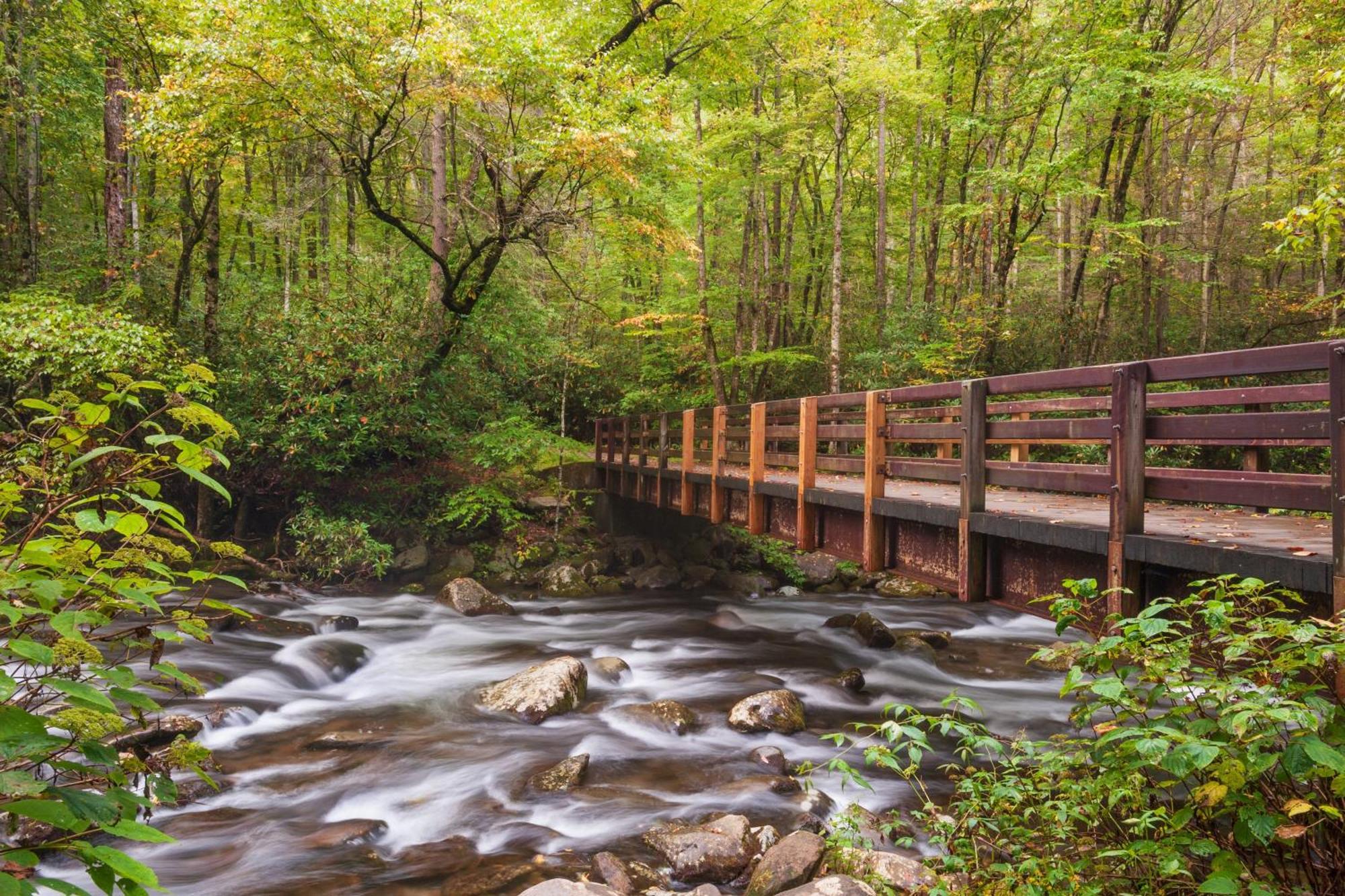 Maple Trails, Wifi, 1089 Free Tickets Each Paid Day, Dollywood And More Gatlinburg Eksteriør billede